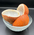 COCONUT (کھوپرا)