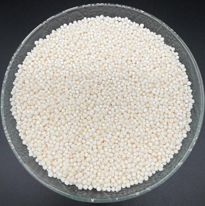 SAGO DANA (ساگو دانہ)